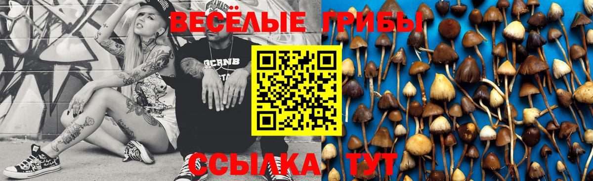 Галлюциногенные грибы ЛСД  Псилоцибиновые грибы Psilocybine cubensis  закладки  Вход с VPN  Выкса 