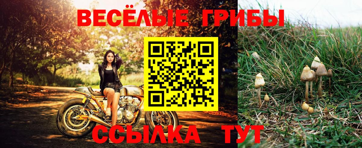 Псилоцибиновые грибы прущие грибы Выкса